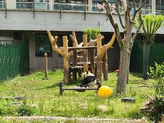 -沈阳森林动物园