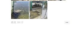 -佩兹宠物医院肿瘤专科·眼科·牙科(黄浦店)