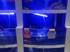 -七欣天香辣蟹火锅(无锡金太湖国际城店)