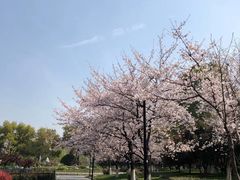 -堤角公园