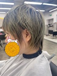 -蚂蚁造型俱乐部