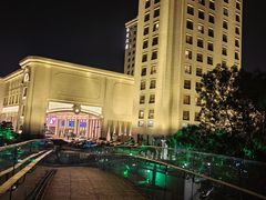 -上海白金汉爵大酒店(大零号湾国际会议中心店)