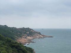 -广东惠东海龟国家级自然保护区