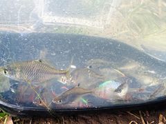 -蓝天路(地铁站)