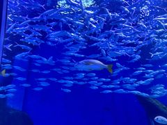 -海合安武汉极地海洋公园