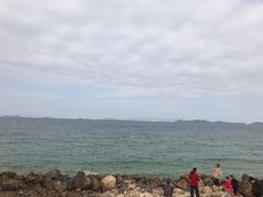 -杨梅坑