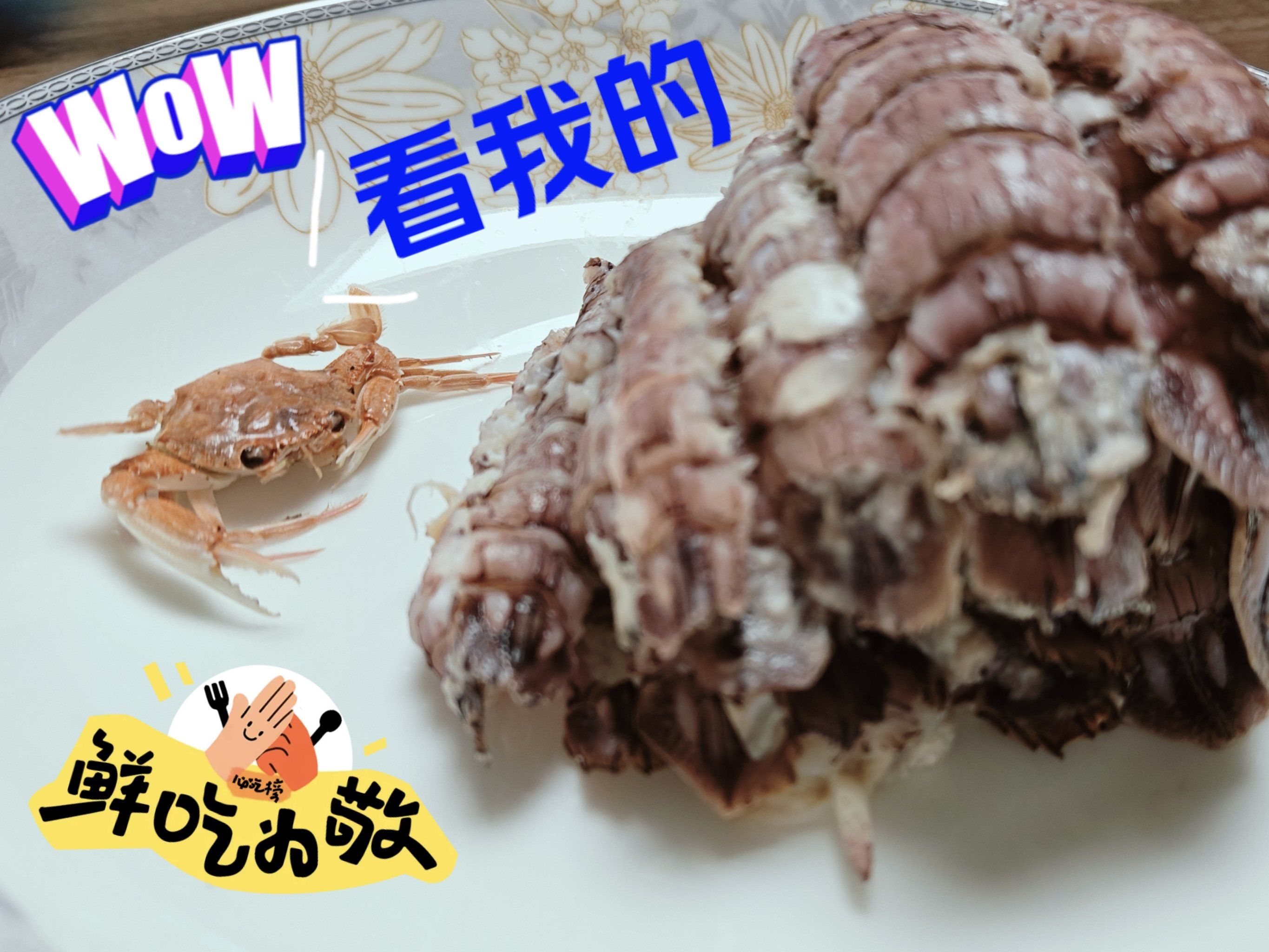 [狗头]小螃蟹大战皮皮虾[狗头]