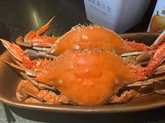-牛New寿喜烧(闵行龙湖天街店)