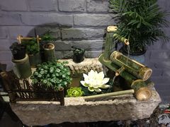 -桥岚·巷子鲜河豚鱼(专门店)