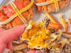 -阳澄湖大闸蟹·琼灵阁牌品牌连锁(吴中总店)