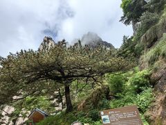 -黄山风景区