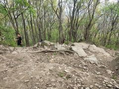 -紫金山山顶公园