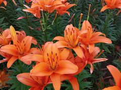 -长春公园(普阳街道)