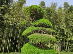 -苏州河梦清园环保主题公园