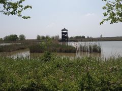 -盐城丹顶鹤湿地生态旅游区
