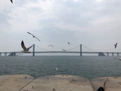 -星海湾跨海大桥
