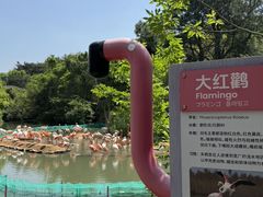 -宁波野生动物园