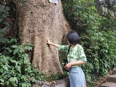 -峨眉山报国寺