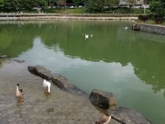 -广州市帽峰山景区