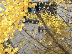 -上海市保健医疗中心