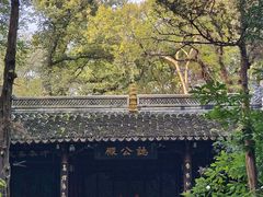 -音乐台