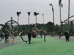 -新概念来凤鱼(璧山店)