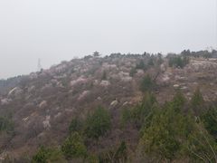 -白水寺森林公园