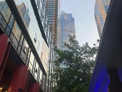 -WFC会仙楼观景台
