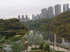 -重庆彩云湖湿地公园