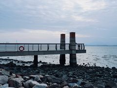 -深圳湾公园(南山区)