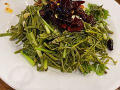 高山木兰芽-百瑞谷饭庄