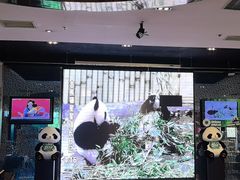 -眉州东坡(博雅店)