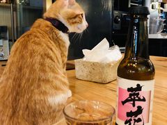 -无牌咖啡&酒馆