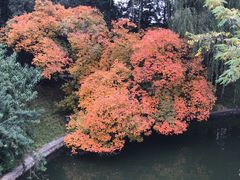-钓鱼台国宾馆