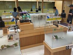 -帕帕拉兹宠物(亚洲旗舰店)