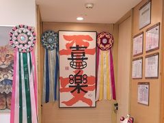 -猫十亿·布偶金渐层·曼基康矮脚猫舍(青年路店)