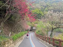 -杭州半山国家森林公园