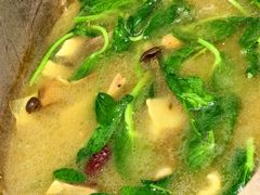 -七采菌园·野生菌石锅鱼(环城北路店)