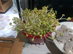 井水豆芽-雾都渣渣火锅(南城智汇城店)