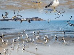 -宝龙广场(蓬莱区)