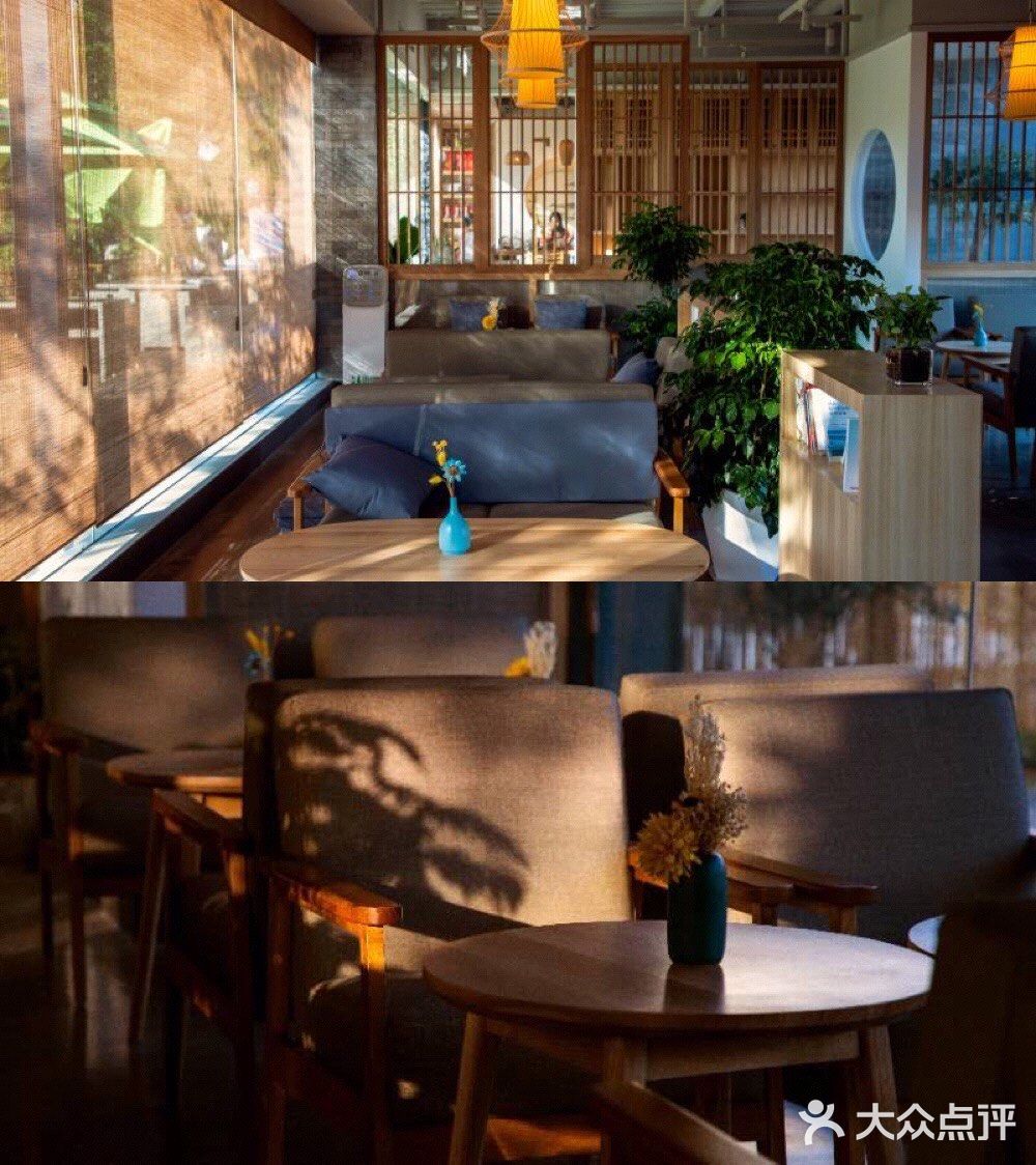 江门城中一隐世茶馆《若柑年后》欣赏日与月