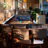 江门城中一隐世茶馆《若柑年后》欣赏日与月