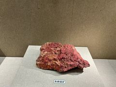 -北京中医药大学-中医药博物馆