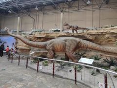 -国家自然博物馆