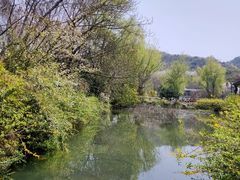 -白马涧龙池景区