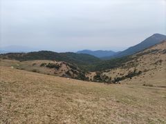-大姆山草场