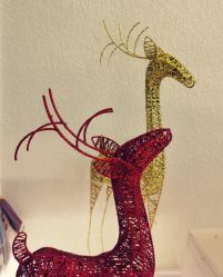 -水沐莲清瑜伽·普拉提