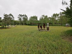 景点-北坞公园