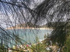 -广东惠东海龟国家级自然保护区