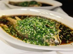 -西郊5号·Maggie 5